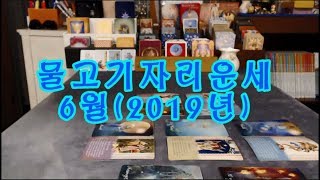 [타로]2019년 6월 물고기자리종합운세 양력 2.19~3.20출생[타로카드]