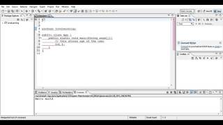 Beginning Java 05-Some lexical issues