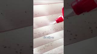 How I Clean Venetian Blinds Without Taking Them Down    #howtoclean #blinds #cleaner