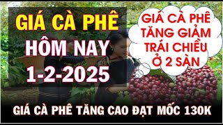 Giá cà phê hôm nay ngày 1/2/2025|Giá cà phê tăng cao đạt mốc 130.000 đồng/kg