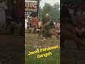 Javed Pahalwan Gangoh #dangal #jassapatti #kushti