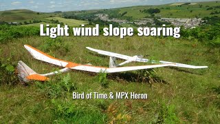 Light wind slope soaring |  Bird of Time & MPX Heron