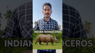 ഇന്ത്യയിലെ വംശനാശഭീഷണി നേരിടുന്ന Indian Rhinoceros. #chillarakaran #indiancoins #rhinoceros #coin