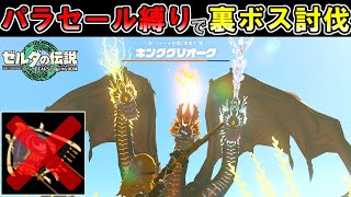 【パラセール縛り】飛べない英傑 vs 空の覇者キンググリオーク【ティアキン】