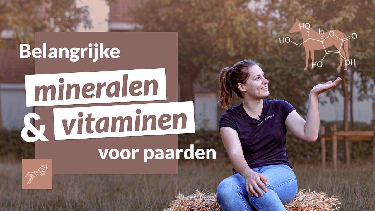 Dit Moet Je Weten Over Vitamine En Mineralen | Sprongsgewijs - YouTube