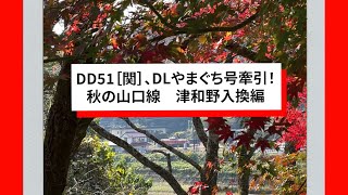 DD51［関］、DLやまぐち号牽引！秋の山口線津和野入換編