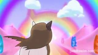 Toki's Cat Dream Song