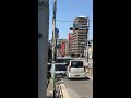 日本一短い青信号（丸八橋北詰）