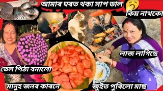 আমাৰ ঘৰত থকা সাপ ডাল | কিয় নাথকো | জুইত পুৰিলো মাছ | তেল পিঠা বনালো মানুজনৰ কাৰণে |