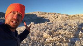 INCREDIBLE HOAR FROST from extended period of freezing fog in CO Foothills