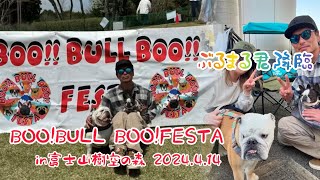 【BOO!! BULL BOO!! FESTA】富士山樹空の森!!🐽ﾌﾞﾋ🐽ﾌﾞﾋの集まり!!