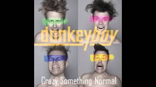 donkeyboy - Crazy Something Normal (Audio)