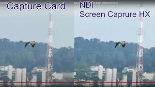 How to Dual PC Streaming? NDI Screen Capture HX vs Capture Card| Comparison