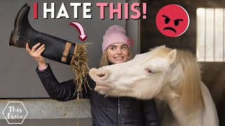 Things all Equestrian's can't stand! Stable Talk | This Esme