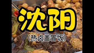 沈阳街边热卤盖冒饭，12元一份你们感觉值不值！街头美食的诱惑力有多大 味道好极了你们想吃吗 主打的就是经济实惠