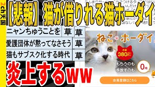 【2ch面白いスレ】【悲報】猫が借りられる猫ホーダイ、炎上するｗｗｗｗｗｗｗｗ　聞き流し/2ch天国