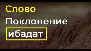 Редкий Хадис. На ЭТОМ возможно объединение для Уммы