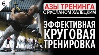 Азы тренинга 2017/ эффективная круговая тренировка Руслан Халецкогий