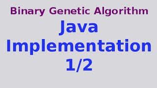 Genetic Algorithms 8/30: Binary Genetic Algorithm .. Java Code 1/2