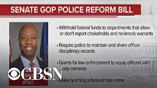 House passes police reform bill, but it faces challenge in Senate