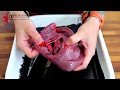 Heart Dissection GCSE A Level Biology NEET Practical Skills