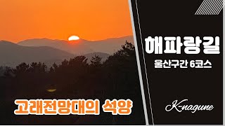 해파랑길 6코스(덕하역-선암호수-울산대공원-고래전망대-태화강전망대)