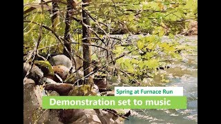 Transparent Watercolor Demonstration:  Spring at Furnace Run
