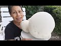 เก็บเห็ดตาปู้ยักษ์​ครั้งแรก​เห็ดจาวมะพร้าว​เห็ดสมอง​giant puffball ตื่นเต้นสุดๆๆ​ว๊าว​อะไรจะขนาดนี้​