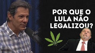 POR QUE O LULA NÃO LEGALIZOU A M4C0NH4? FERNANDO HADDAD