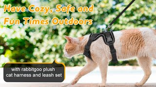 How to Put On A Outdoor Cat Harness for Cold Weather | Rabbitgoo