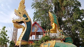 ไหว้หลวงพ่อใหญ่ วัดไทย อำเภอโพนพิสัย จังหวัดหนองคาย