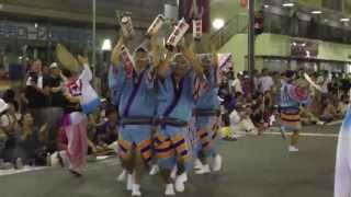 南越谷阿波踊り大会　2013　飛舞枝　流し2