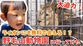 入園料無料なのにたくさんの動物に会える野毛山動物園に行ってみたら最高だった／Baby went to Nogeyama Zoo