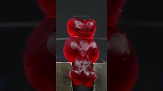 Gummy Bear #macro #satisfying