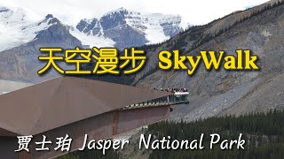 悬空玻璃桥漫步 Sky Walk 森瓦普塔河谷 Sunwapta Valley |  Jasper National Park 贾斯珀国家公园  | 横贯加拿大自驾 D20