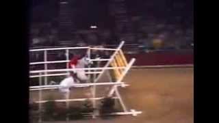 World Record Horse High Jump 2 32 meters