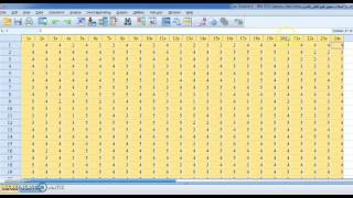 #SPSS v.23 Lesson 72:  ثبات الاستبيان بطريقة ألفا كرونباخ  Reliability Analysis Cronbach's Alpha