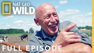 Incredible Dr. Pol: A 200th Polapalooza (Full Episode) | The Incredible Dr. Pol