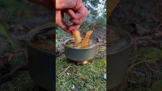 Chips and canned fish 🔥 #survival #outdoors #bushcraft #asmr #camping #livehacks #forest #solo