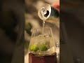 Homemade cocktail in one minute——so cool