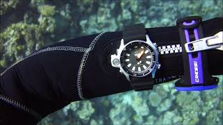 Citizen Aqualand JP2000-08E in Red Sea