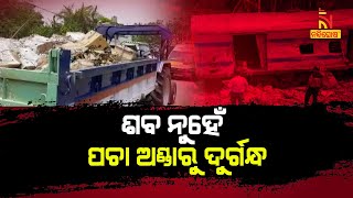 ବାହାନଗା ଟ୍ରେନ ବଗିରେ ମୃତଦେହ ନୁହେଁ , ପଚା ଅଣ୍ଡାରୁ ବାହାରୁଥିଲା ଦୁର୍ଗନ୍ଧ | NandighoshaTV