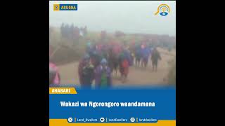 Wananchi wa Ngorongoro waandamana