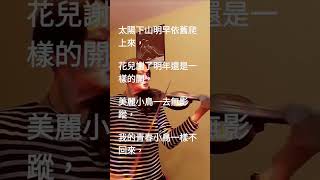 青春舞曲