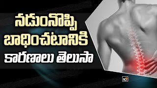 నడుంనొప్పి బాధించటానికి కారణాలు తెలుసా? | Back Pain Symptoms and Causes | 10TV News