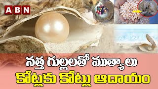 నత్త గుల్లలతో ముత్యాలు-  కోట్లకు కోట్లు ఆదాయం || ABN Digital