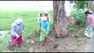 ശുചീകരണ പ്രവർത്തനത്തിലേർപ്പെട്ട് മണലൂർ പഞ്ചായത്ത് | TCV Anthikad