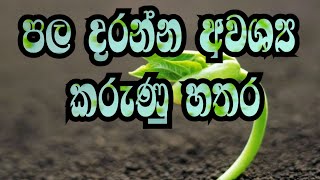 පල දරන්න අවශ්‍ය කරුණු හතර