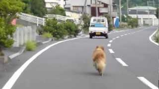 元猿海岸のお友達。