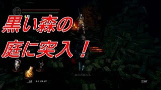 【PS4Pro】ダークソウル リマスタード　黒い森の庭に突入！　#20　｜　DARK SOULS REMASTERED